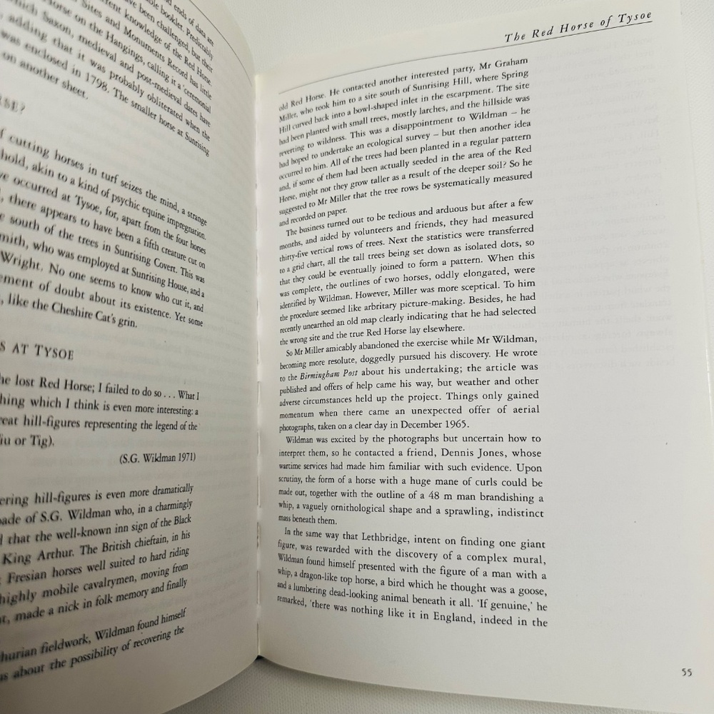 Lost Gods Of Albion The Chalk Hill Figures Of Britain Book By Paul Newman - Picture 3 of 5